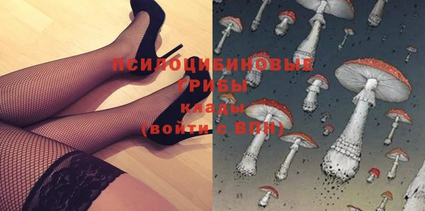 молекула духа Нефтегорск