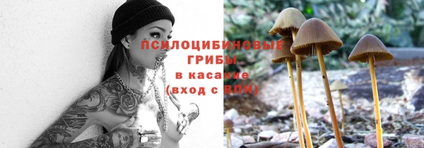 молекула духа Нефтегорск