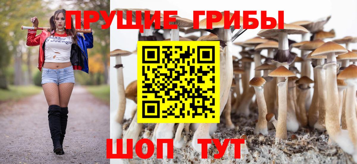 Галлюциногенные грибы прущие грибы  Вход с VPN  Псилоцибиновые грибы Psilocybe  Михайловск 