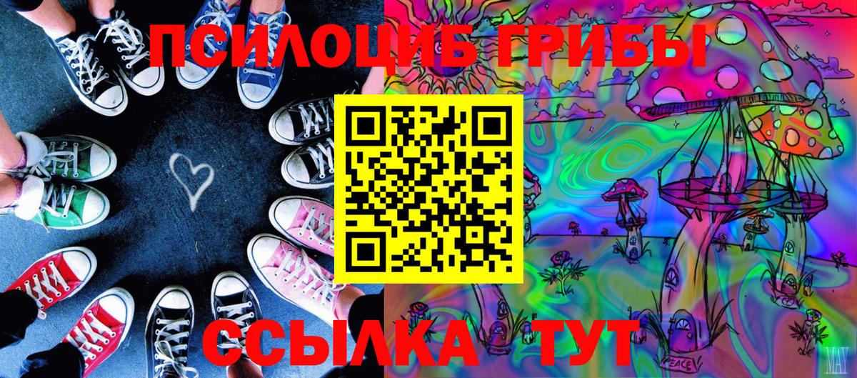 Псилоцибиновые грибы мицелий Михайловск